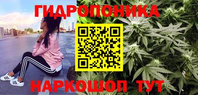 дживик Малгобек